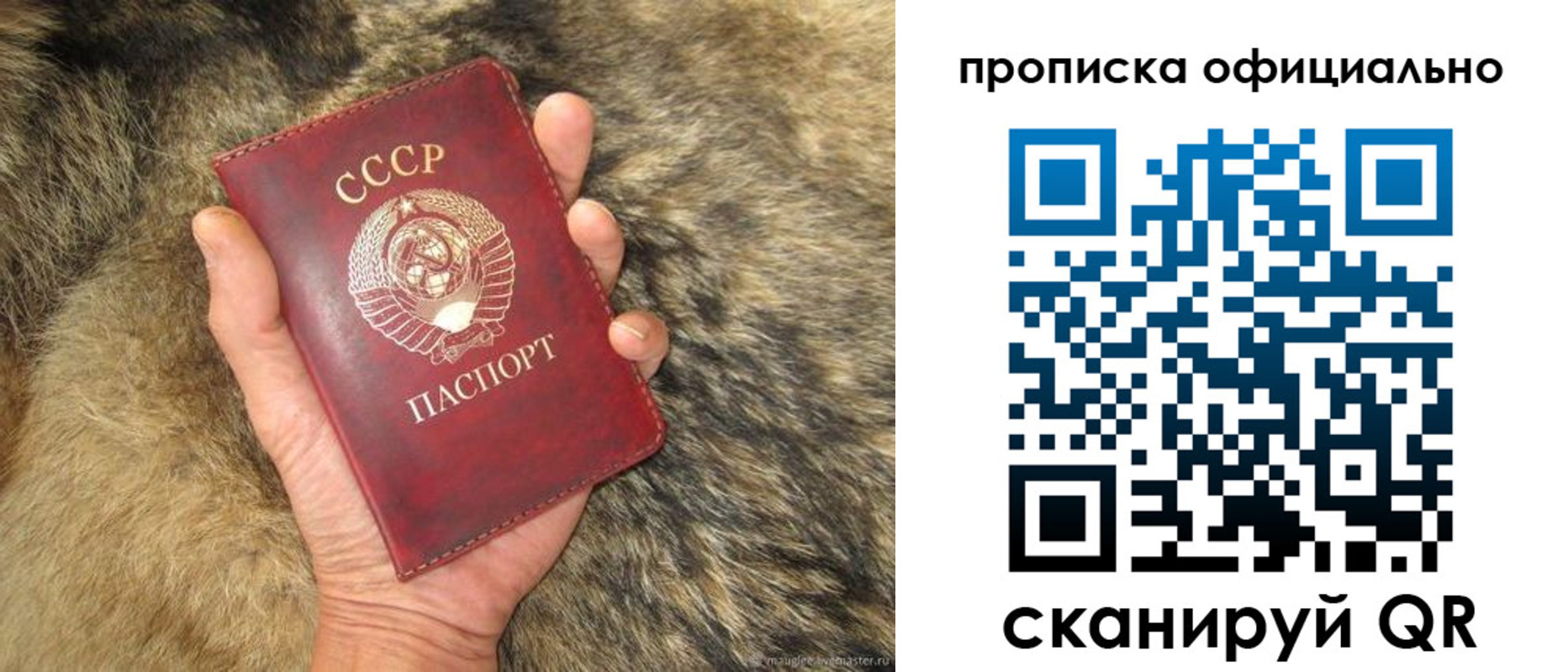 прописка паспорт в Волгоградской области